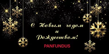 Примите самые теплые поздравления с Новым годом и Рождеством!